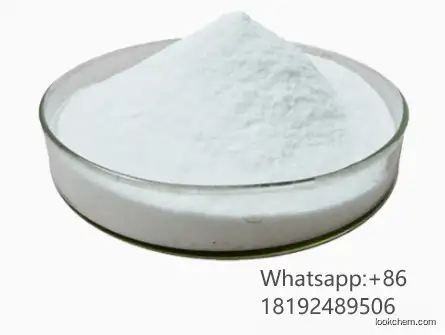 Ampicillin Trihydrate(7177-48-2)