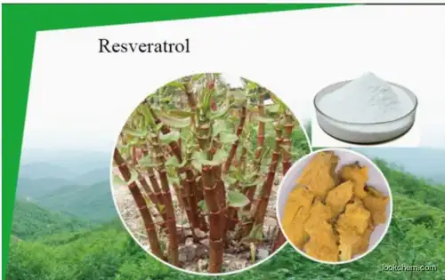 Resveratrol