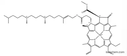 Chlorophyll b