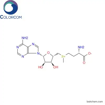 S-Adenosyl-L-methionine