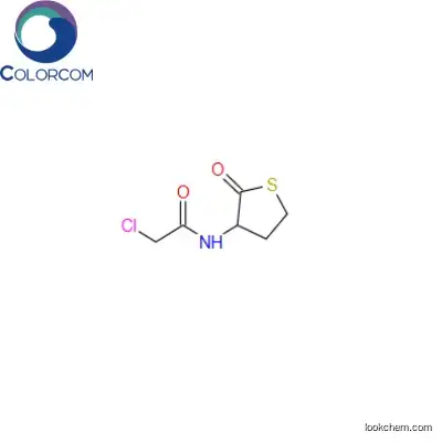 N-CHLOROACETYL-DL-HOMOCYSTEINE THIOLACTONE