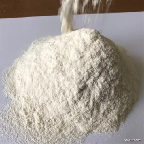 HPMC tylose