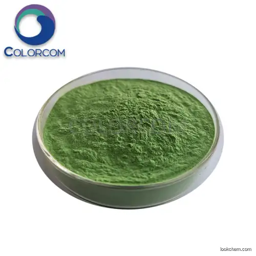 Chlorella Extract