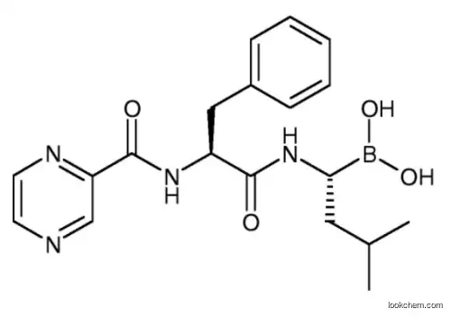 Bortezomib