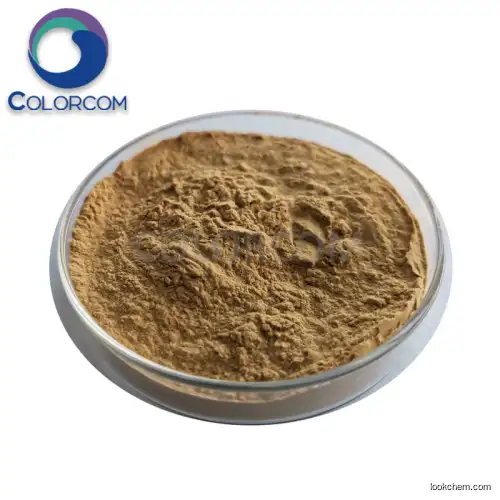 Brown Algae Extract | Enzymolysis Seaweed Extract