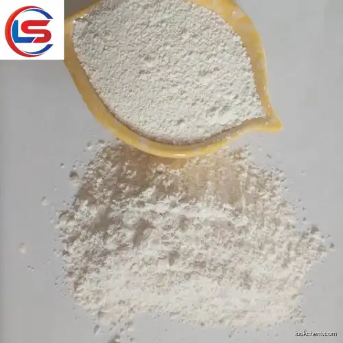 Carboxy Methylcellulose Sodium