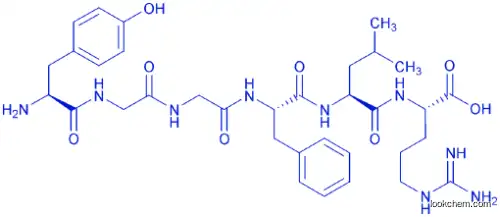 LEU-ENKEPHALIN-ARG
