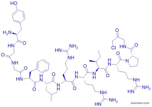 Dynorphin A (1-10)-Gly-chloromethylketone