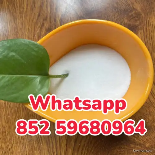 Pharmaceutical Grade DIMETHYLPROCAINE CAS 10012-47-2