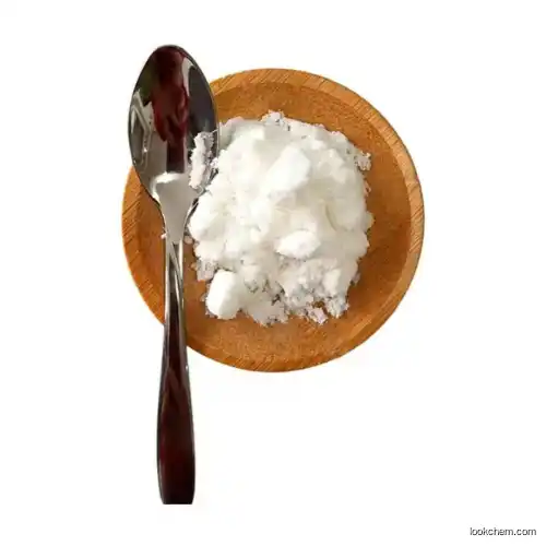 POLY(METHYLSILSESQUIOXANE)