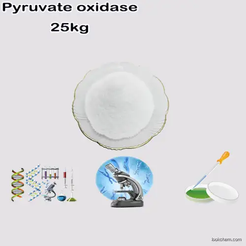 PYRUVATE OXIDASE
