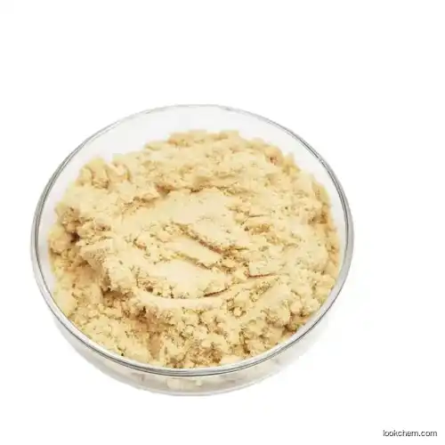 -Chlorpheniramine maleate-+ CAS No.: 113-92-8