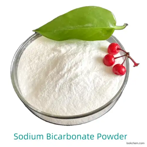 sodium hydrogen carbonate CAS No.: 144-55-8