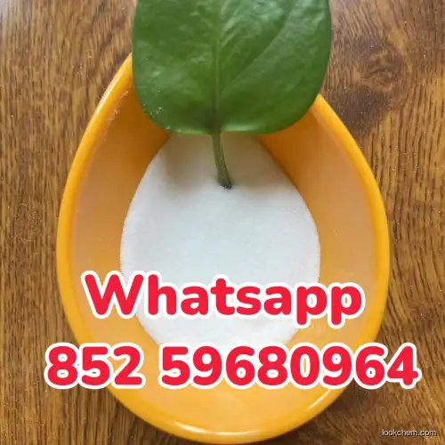 Pharmaceutical Grade DIMETHYLPROCAINE CAS 10012-47-2