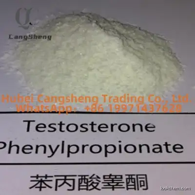Testosterone PP