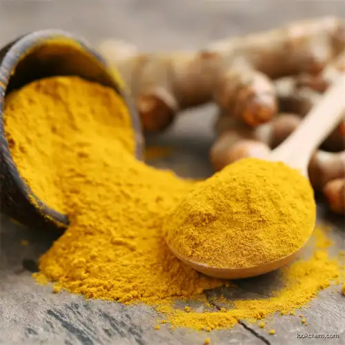 Turmeric Extract