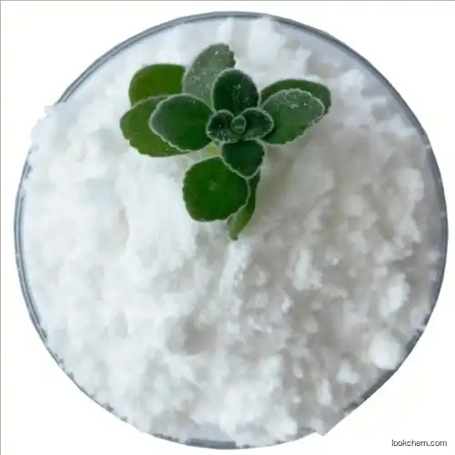 ·/Hydroxypropyl methyl cellulose.+
