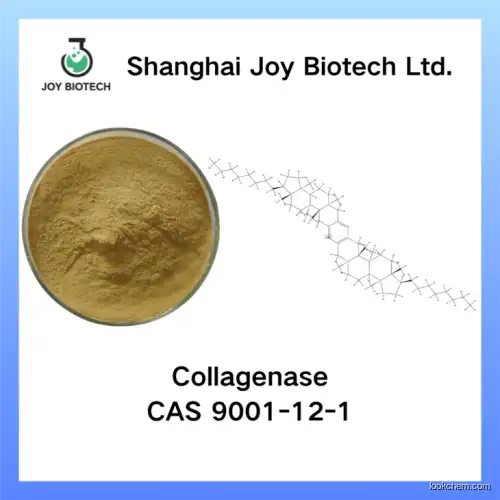 Collagenase A