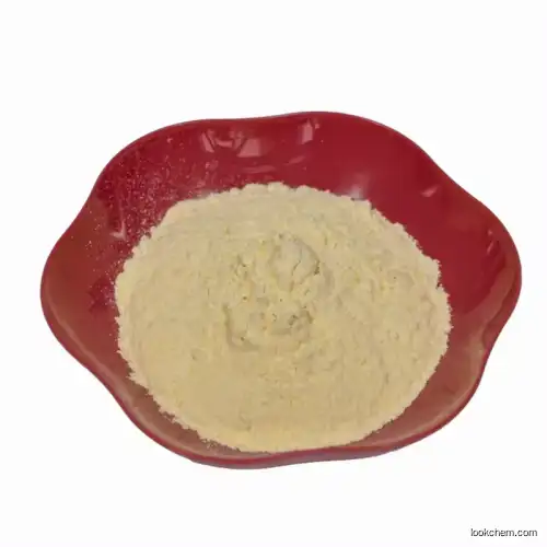 Xanthan Gum Powder