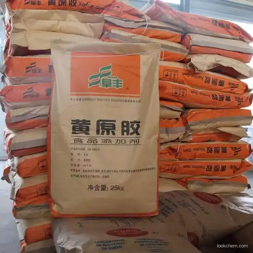 Xanthan Gum Powder