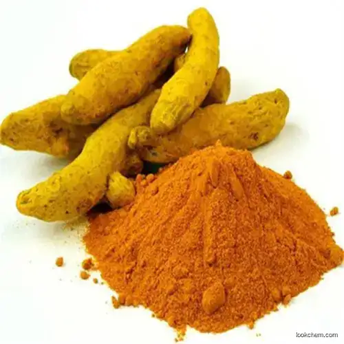 Turmeric Extract