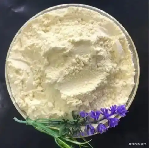 Lecithin- CAS No.: 8002-43-5