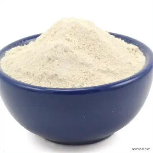 Xanthan Gum Powder