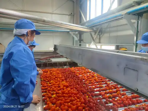 Tomato Paste 28-30% 30-32% 36-38%