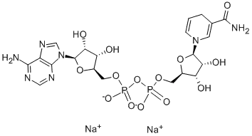 beta-Nicotinamide adenine dinucleotide disodium salt / LIDE PHARMA- Factory supply / Best price