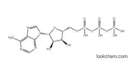 Adenosine triphosphate