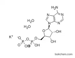 ADENOSINE 5'-DIPHOSPHATE MONOPOTASSIUM SALT
