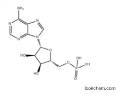 Adenosine 5'-monophosphate