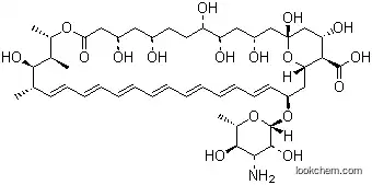 Amphotericin B