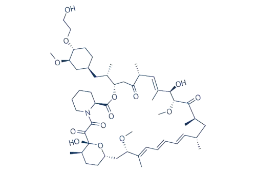 Everolimus (RAD001)