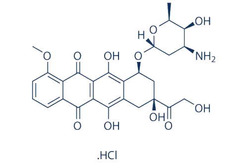 Doxorubicin (Adriamycin) HCl