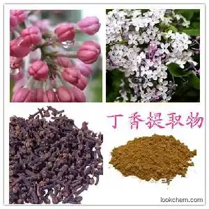 99.0% natural plant extract High quality Eugenol Cas 97-53-0 with good price