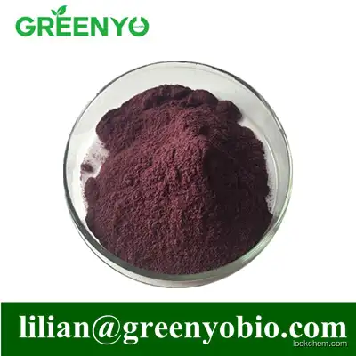 Best Selling 30% Anthocyanins Bilberry Extract Powder