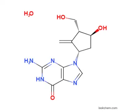Entecavir monohydrate(209216-23-9)
