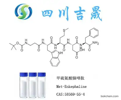 Met-Enkephaline58569-55-4Sufficient supply  high-quality    Manufactor