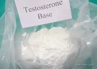 Pharmaceutical Raw Testosterone Powder Testosterone Base CAS 58-22-0 Muscle Enhancement Steroids for Male