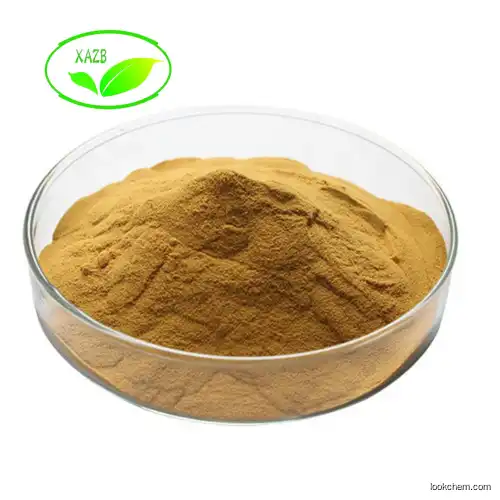 High Pure Organic Astragalus Membranaceus Extract powder Astragalus Root Extract in stock