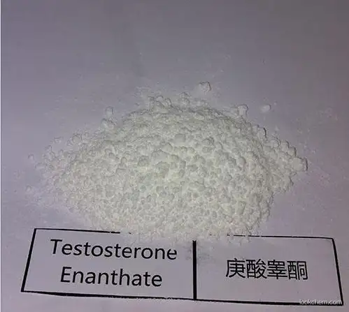 Bodybuilder Injection Raw Testosterone Powder Testosterone Enanthate CAS 315-37-7 Steroid Without Side Effects