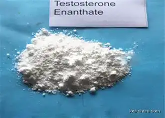 Bodybuilder Injection Raw Testosterone Powder Testosterone Enanthate CAS 315-37-7 Steroid Without Side Effects
