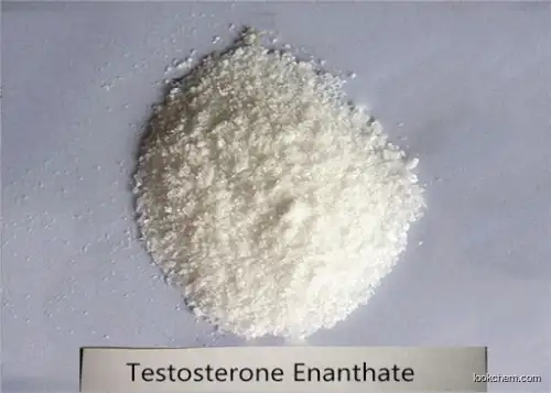 Testosterone Enanthate CAS 315-37-7 99% Purity Body Building Steroid Powder Quick Effects
