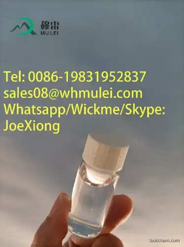 supply chain MFCD00003280 quick delivery China Supplier Best Quality 99% purity N-methylformamide CAS 123-39-7