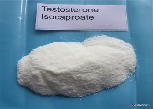 99% Purity Testosterone Isocaproate For Muscle Building