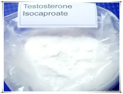 Bodybuilding Testosterone Raw Powder Testosterone Isocaproate CAS 15262-86-9