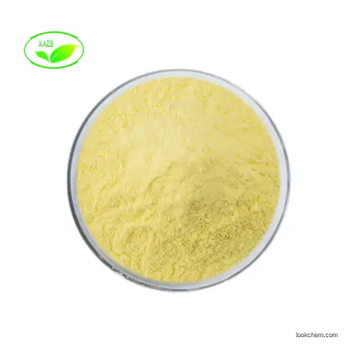 100% Pure Natural Kaempferol 98% Powder Galanga Extract kaempferol 3-rutinoside