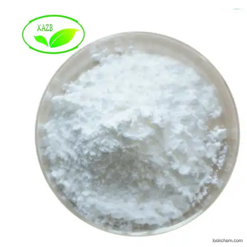 High Quality 99% Purity Butylscopolamine Bromide CAS NO: 149-64-4