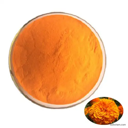 Factory Price Natural Xanthophyll / Lutein/Xanthophyll Lutein Powder